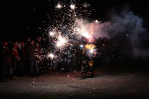 Daibles de la Garrigue 2009