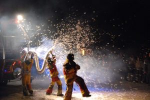 Daibles de la Garrigue 2009